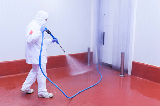 Best Graffiti Removal  in Ridgewood, IL